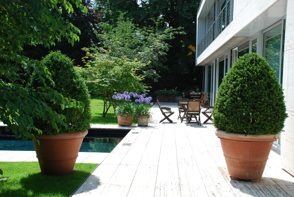 Immagine di una grande terrazza classica dietro casa con un giardino in vaso