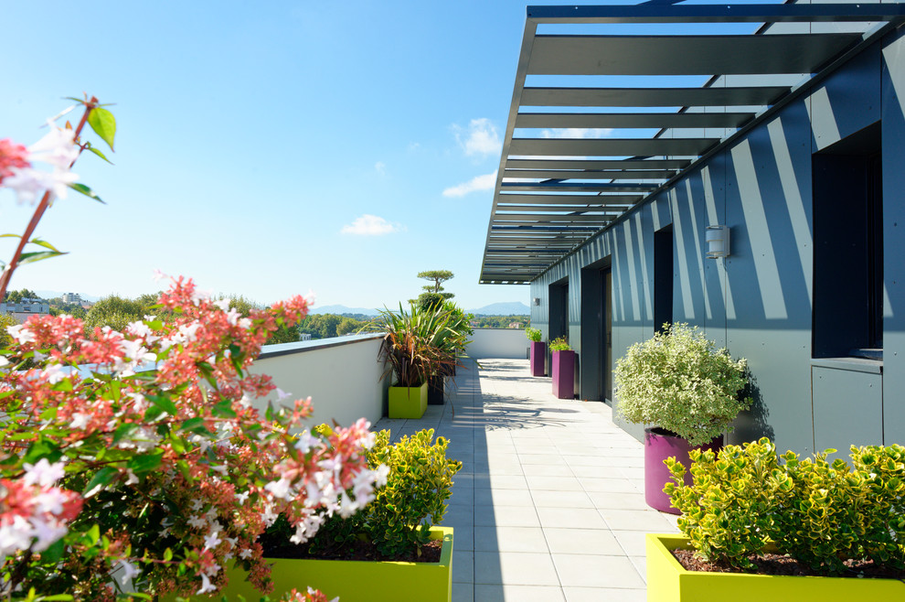 Modelo de terraza contemporánea de tamaño medio en azotea con jardín de macetas y pérgola
