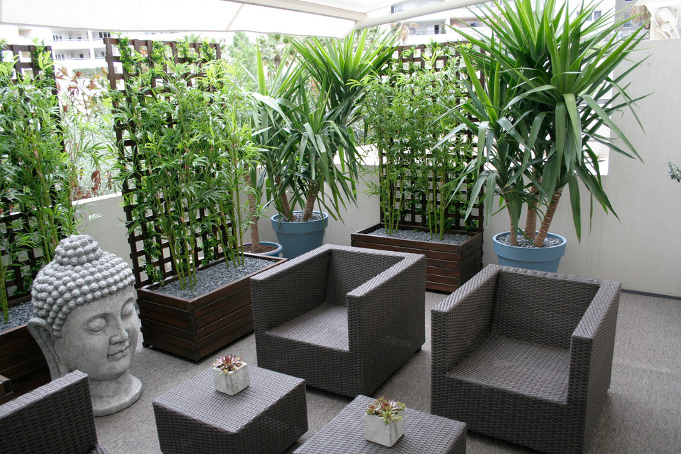 На фото: двор среднего размера на заднем дворе в восточном стиле с растениями в контейнерах и козырьком