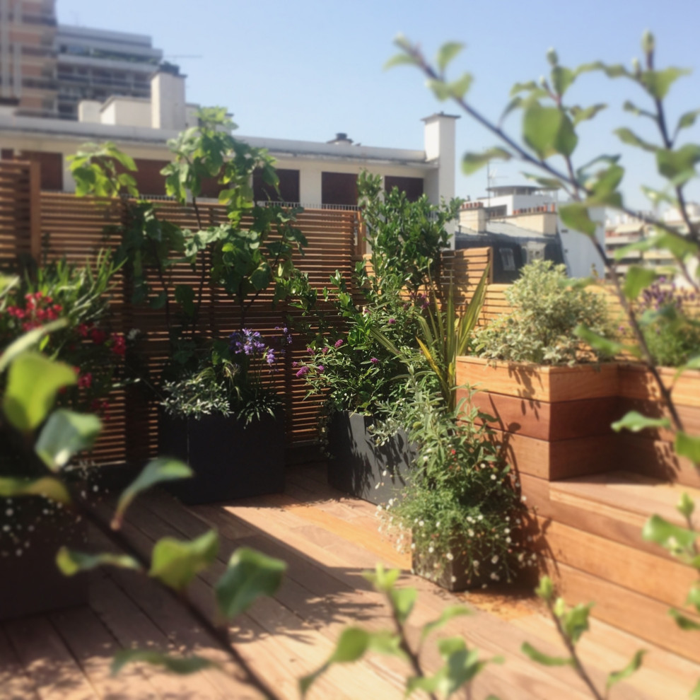 Modelo de terraza moderna pequeña en azotea con jardín de macetas