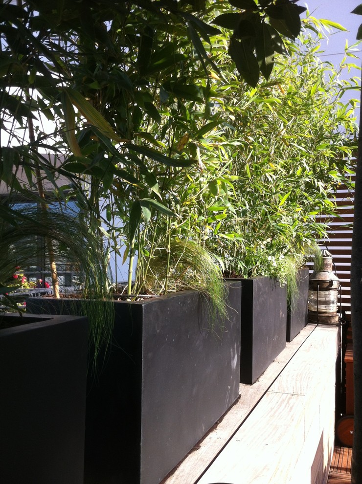 Foto de terraza de tamaño medio en azotea con jardín de macetas y pérgola