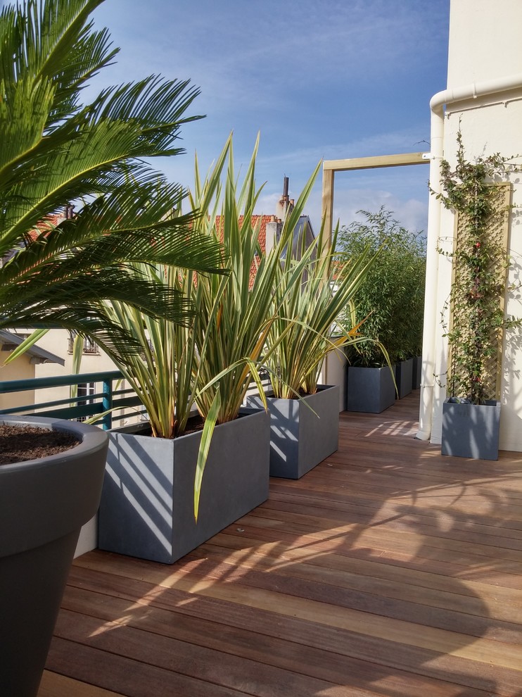 Diseño de terraza actual de tamaño medio sin cubierta en azotea con jardín de macetas
