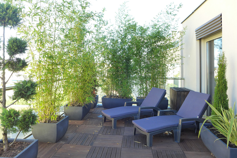 Immagine di una terrazza minimal di medie dimensioni e sul tetto con un giardino in vaso e nessuna copertura