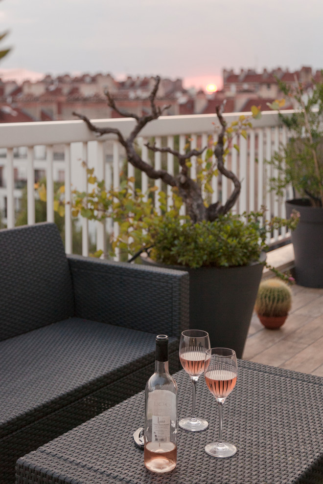 Idées déco pour une terrasse avec des plantes en pots contemporaine de taille moyenne avec aucune couverture.