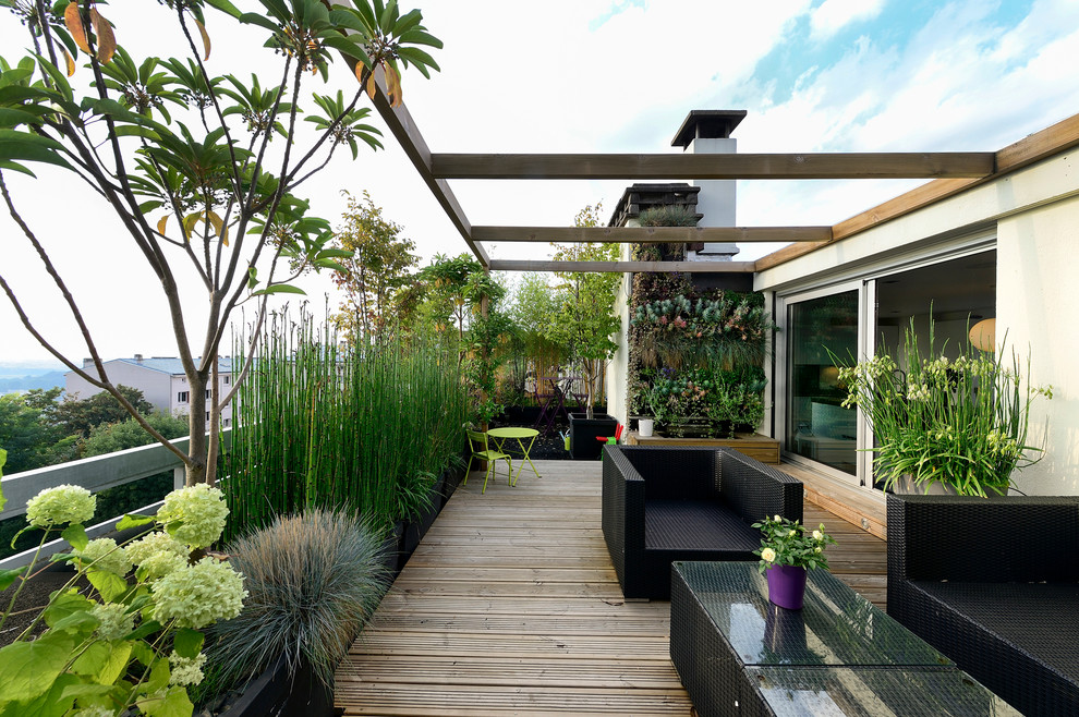 Inspiration för en mellanstor funkis terrass, med en vertikal trädgård