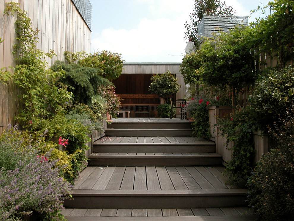 На фото: терраса среднего размера на заднем дворе в современном стиле с растениями в контейнерах