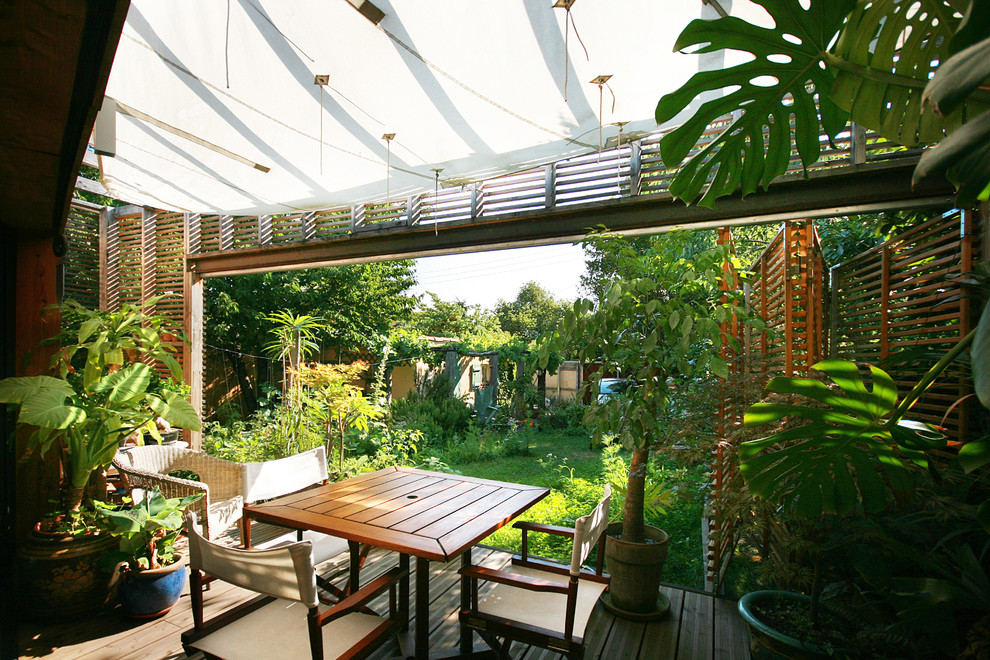 Small contemporary back terrace in Toulouse with a potted garden and a pergola.