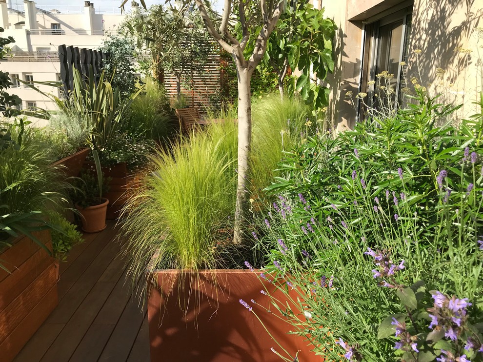 Пример оригинального дизайна: маленькая терраса на боковом дворе в средиземноморском стиле с растениями в контейнерах без защиты от солнца для на участке и в саду