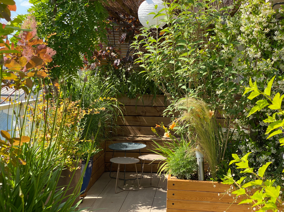 Modelo de terraza romántica de tamaño medio en patio lateral con jardín de macetas y pérgola