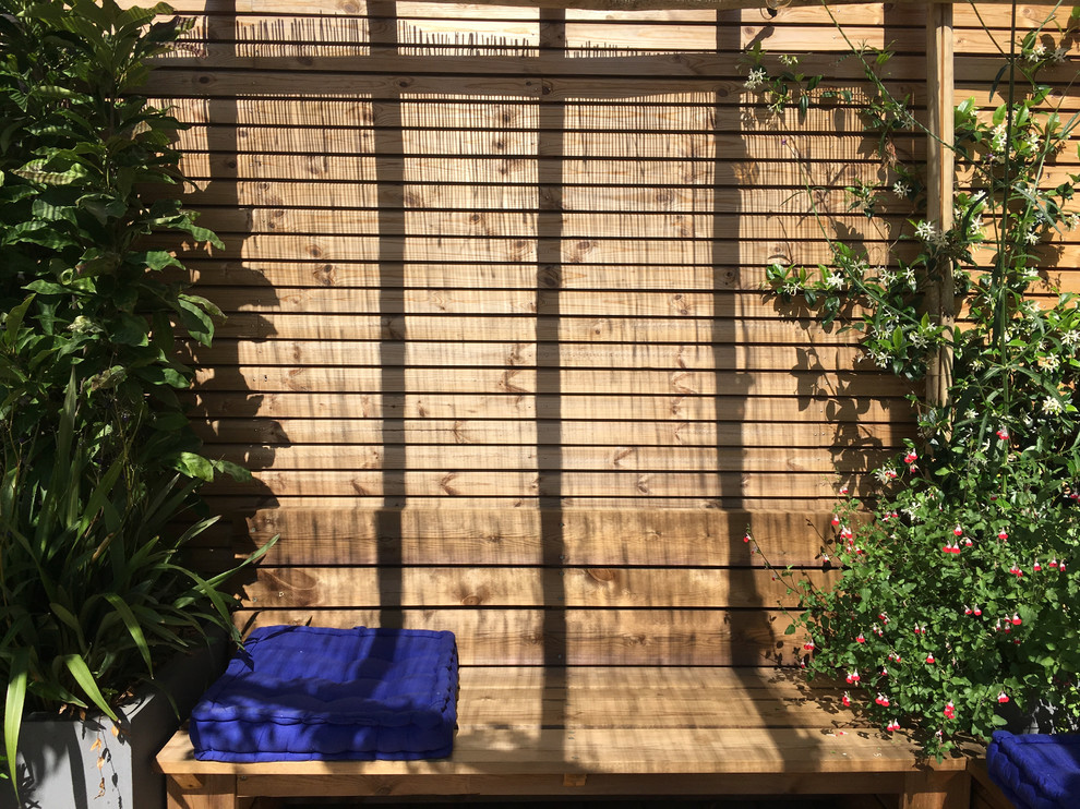 Immagine di una grande terrazza eclettica sul tetto con un giardino in vaso e una pergola