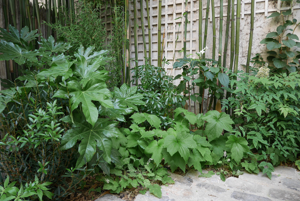 Foto di un piccolo giardino design con un giardino in vaso e pavimentazioni in pietra naturale