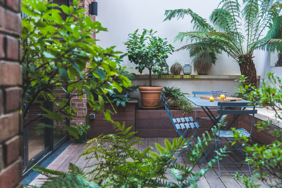 Свежая идея для дизайна: двор на заднем дворе в современном стиле с растениями в контейнерах и настилом - отличное фото интерьера