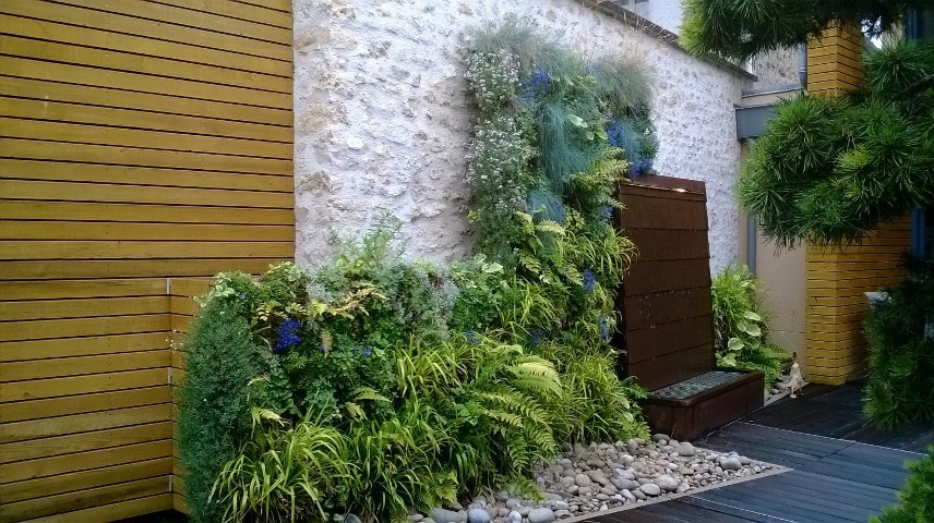 Idées déco pour un mur végétal de terrasse contemporain de taille moyenne.