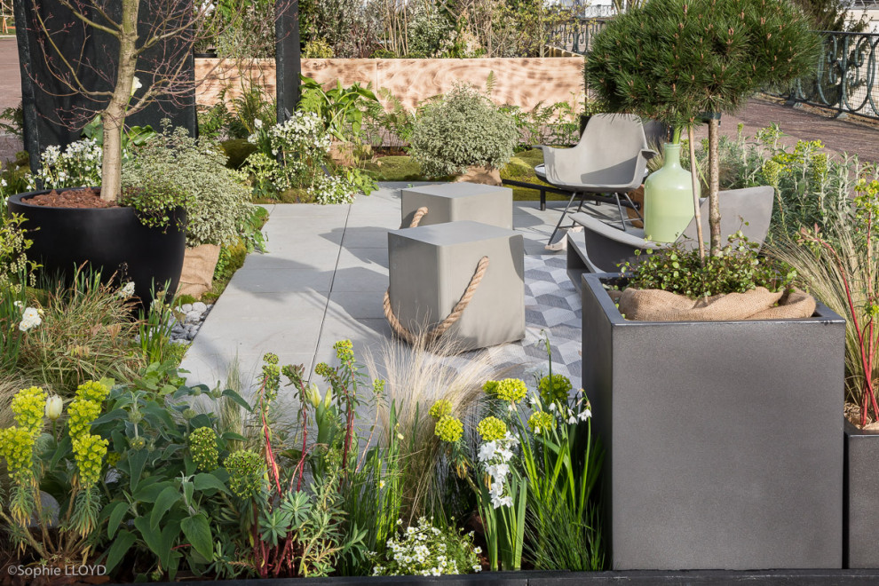 Стильный дизайн: двор в современном стиле с растениями в контейнерах - последний тренд