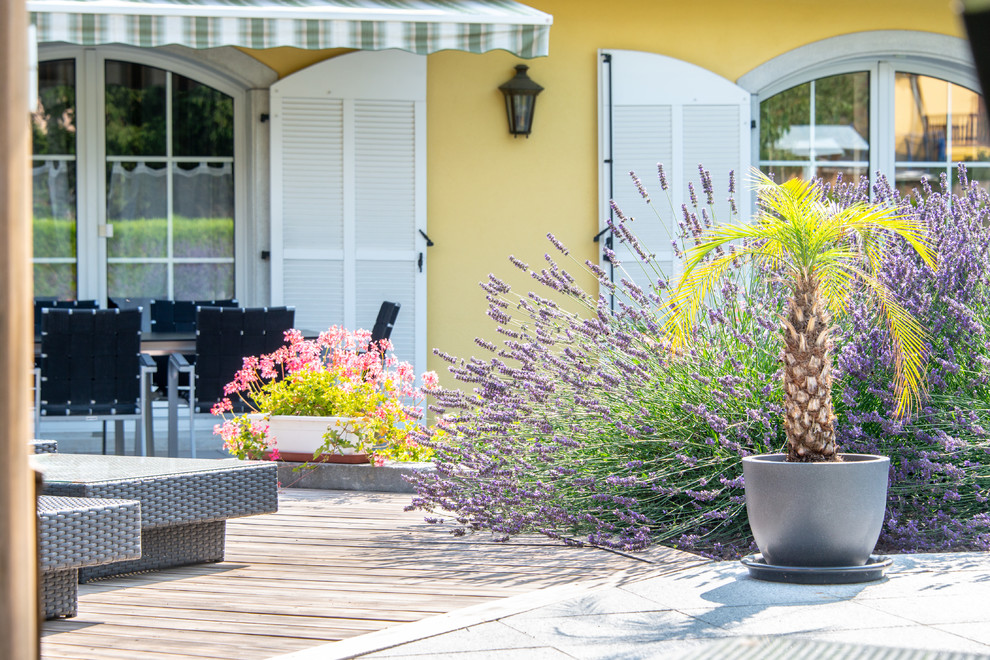 Cette photo montre une terrasse avec des plantes en pots arrière chic de taille moyenne avec aucune couverture.