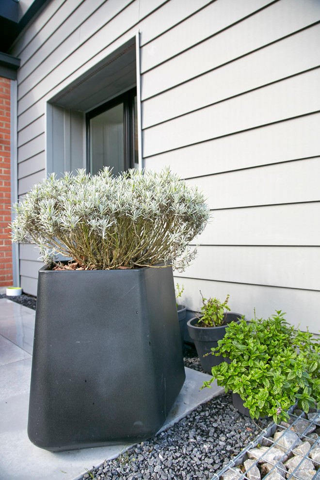 Exemple d'une terrasse avec des plantes en pots tendance de taille moyenne avec une cour, du gravier et une extension de toiture.