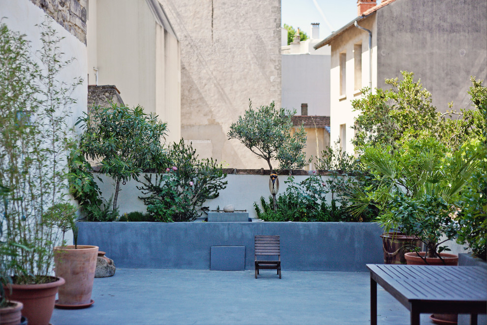Idées déco pour une terrasse avec des plantes en pots méditerranéenne de taille moyenne.