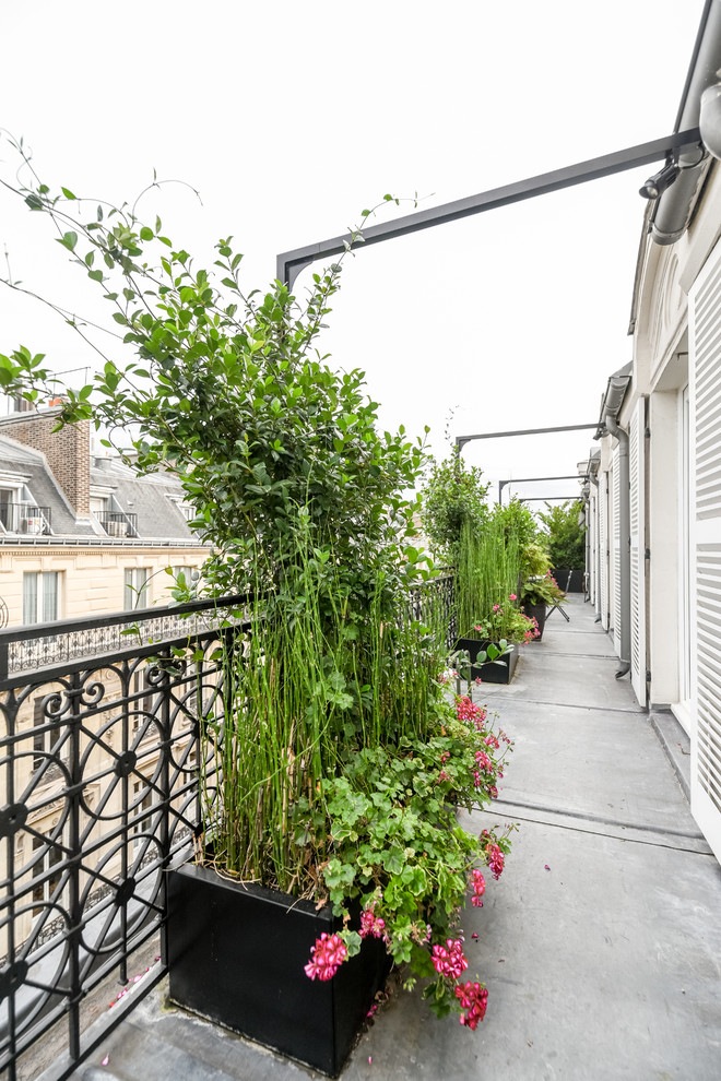 Small trendy front yard patio vertical garden photo in Paris with no cover
