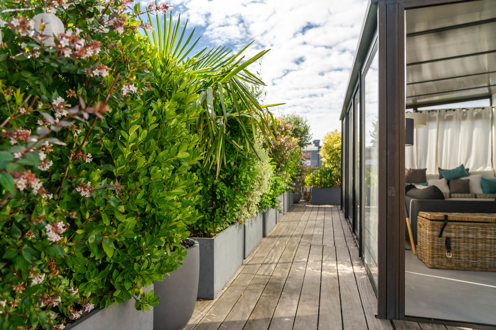 Imagen de terraza contemporánea grande sin cubierta en azotea con jardín de macetas y barandilla de madera
