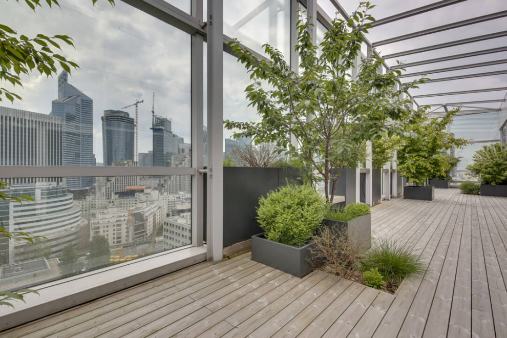 Kleine, Unbedeckte Moderne Dachterrasse mit Kübelpflanzen in Paris