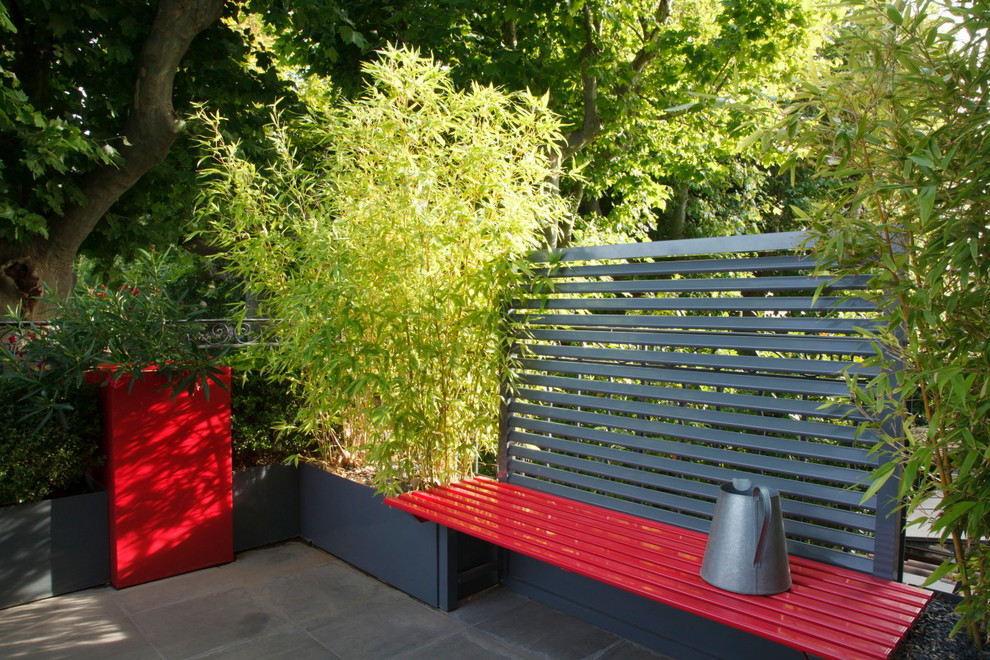 Diseño de patio contemporáneo pequeño con jardín de macetas y losas de hormigón