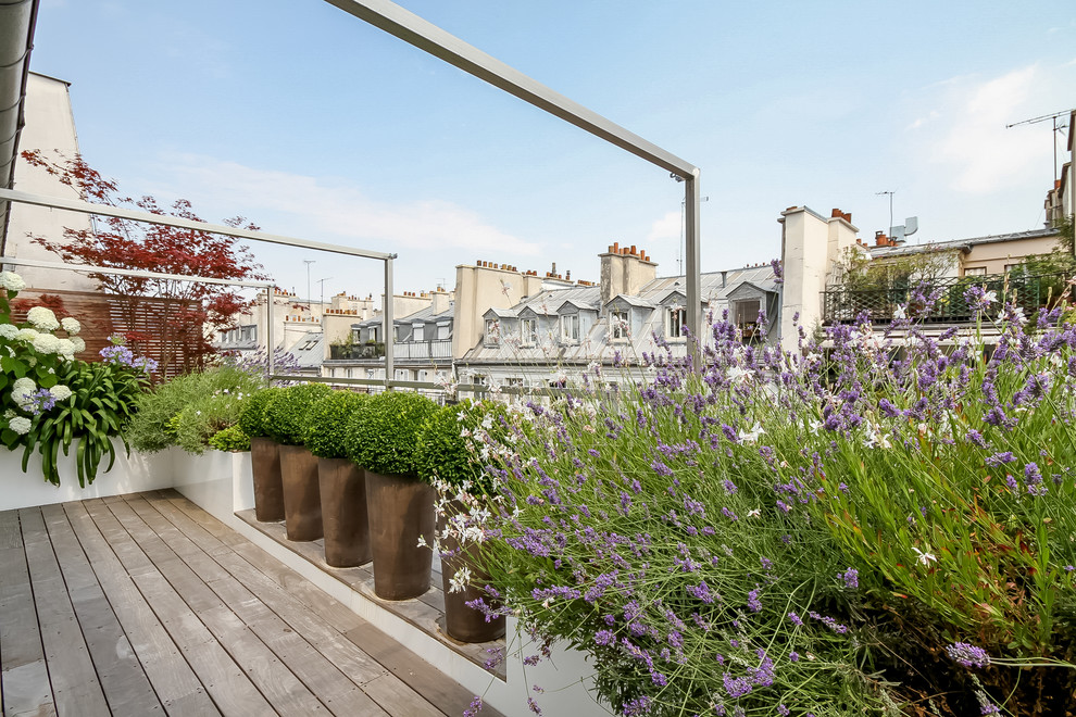 Diseño de terraza contemporánea pequeña con jardín de macetas