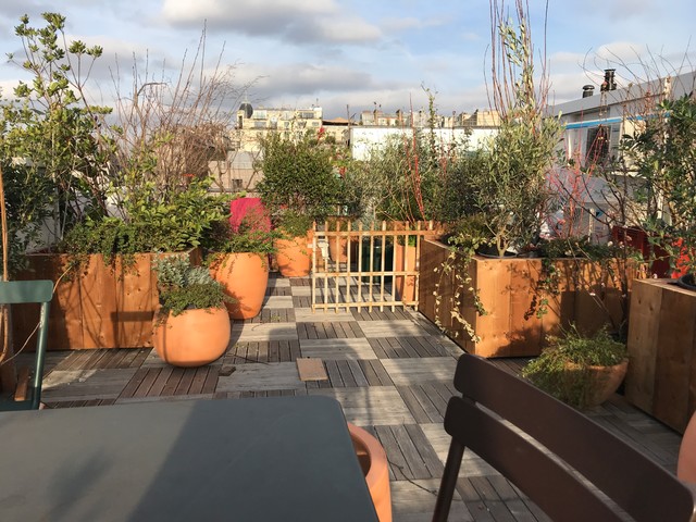 Toit Terrasse Imagine Comme Un Jardin Au Dessus Du Moulmin Rouge Modern Terrasse Paris Von Declinaisons En Vert Paysagiste Houzz