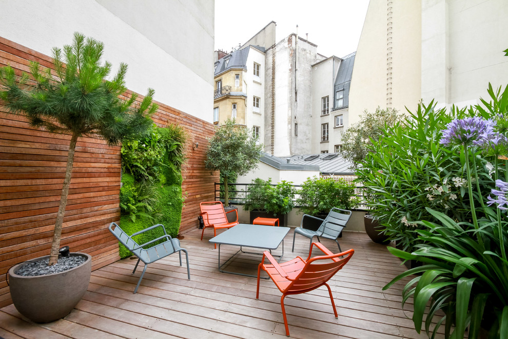 Modelo de terraza contemporánea de tamaño medio sin cubierta en azotea con jardín vertical y barandilla de madera