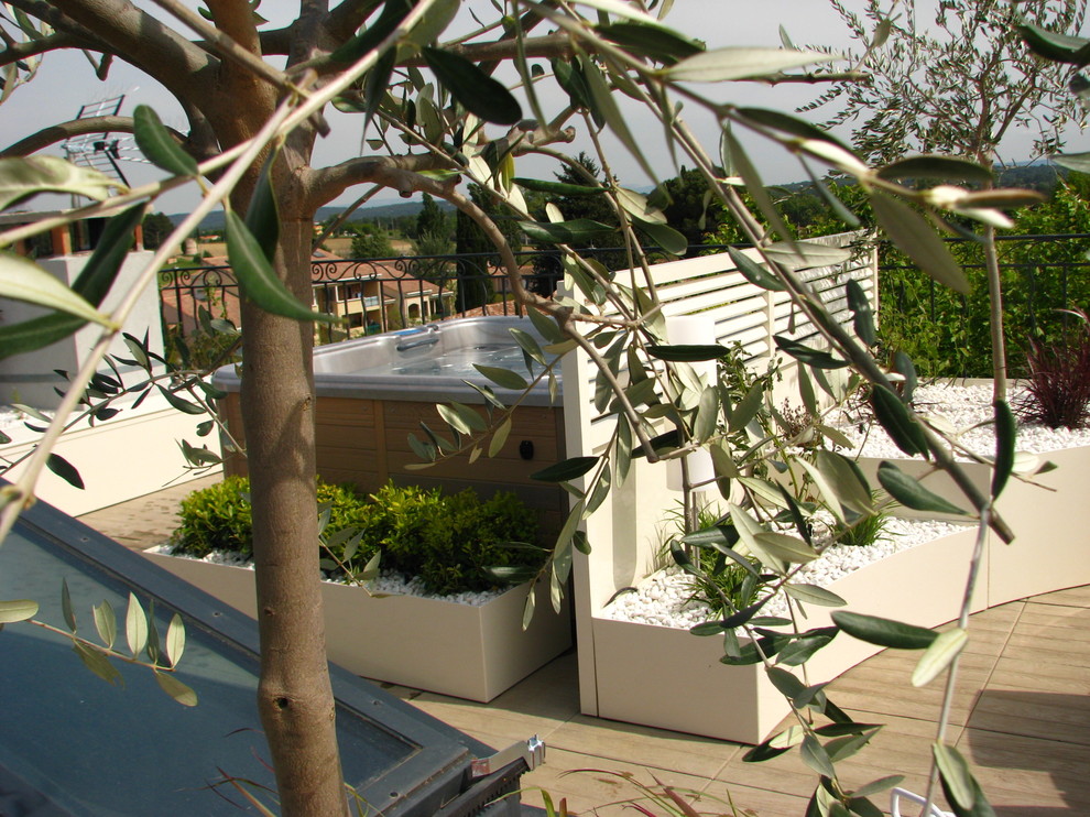 Imagen de terraza actual pequeña sin cubierta en azotea con jardín de macetas