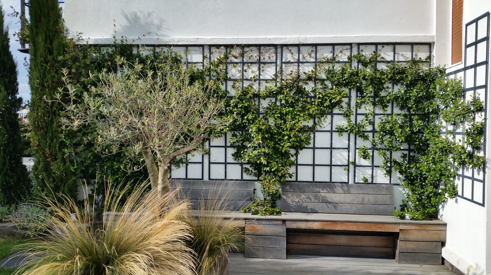 Foto de terraza mediterránea de tamaño medio sin cubierta en patio lateral con jardín vertical
