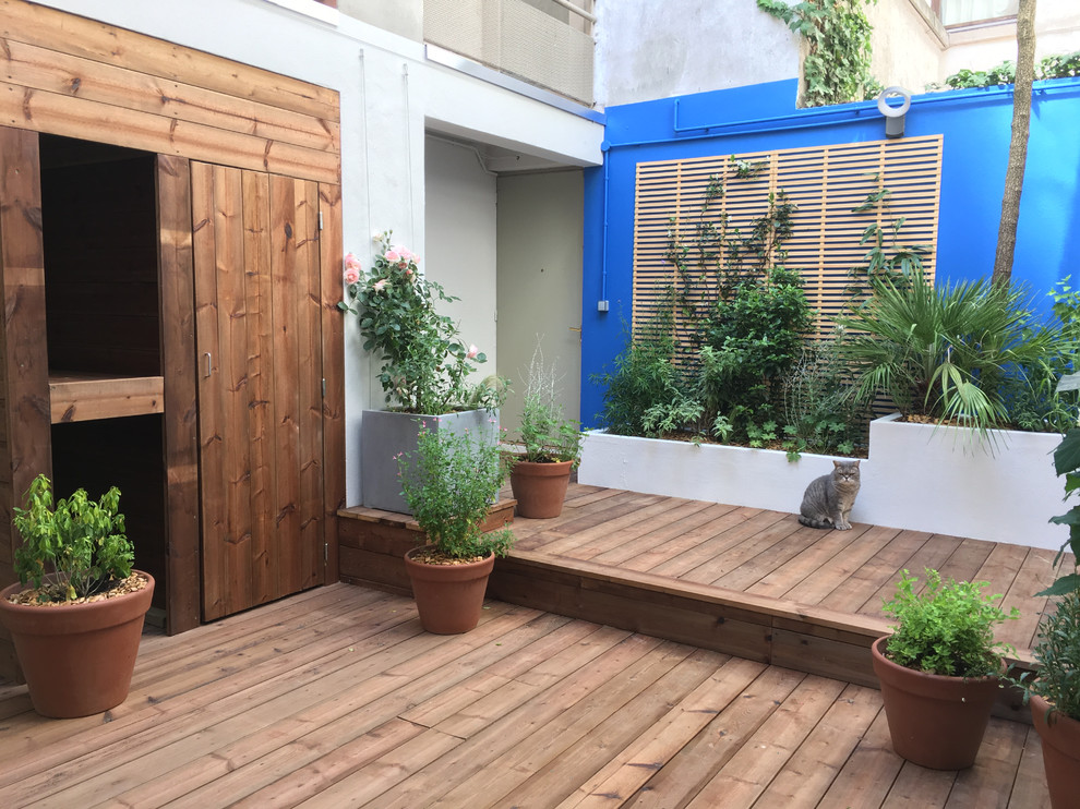 Свежая идея для дизайна: двор среднего размера на внутреннем дворе в современном стиле с растениями в контейнерах и настилом без защиты от солнца - отличное фото интерьера