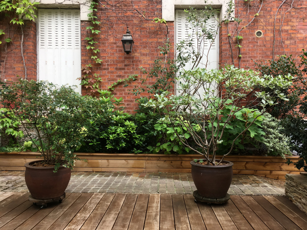 Immagine di un piccolo patio o portico vittoriano in cortile con un giardino in vaso, pedane e nessuna copertura