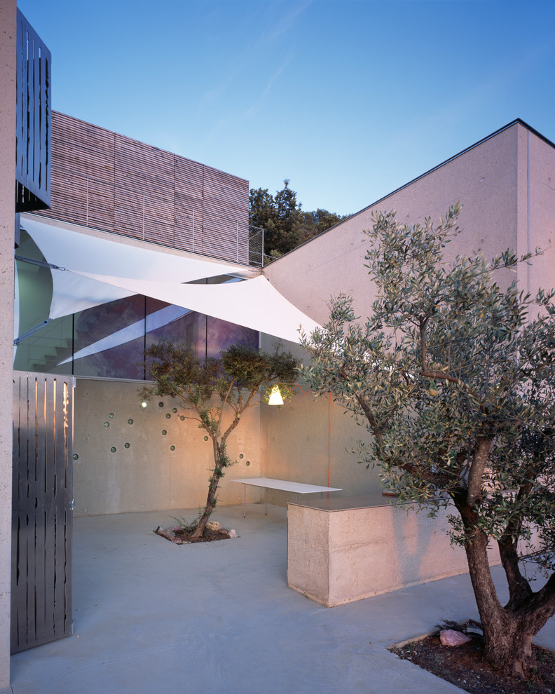 Patio - mid-sized contemporary patio idea in Paris