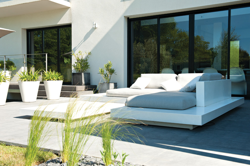 Esempio di una terrazza design con un giardino in vaso