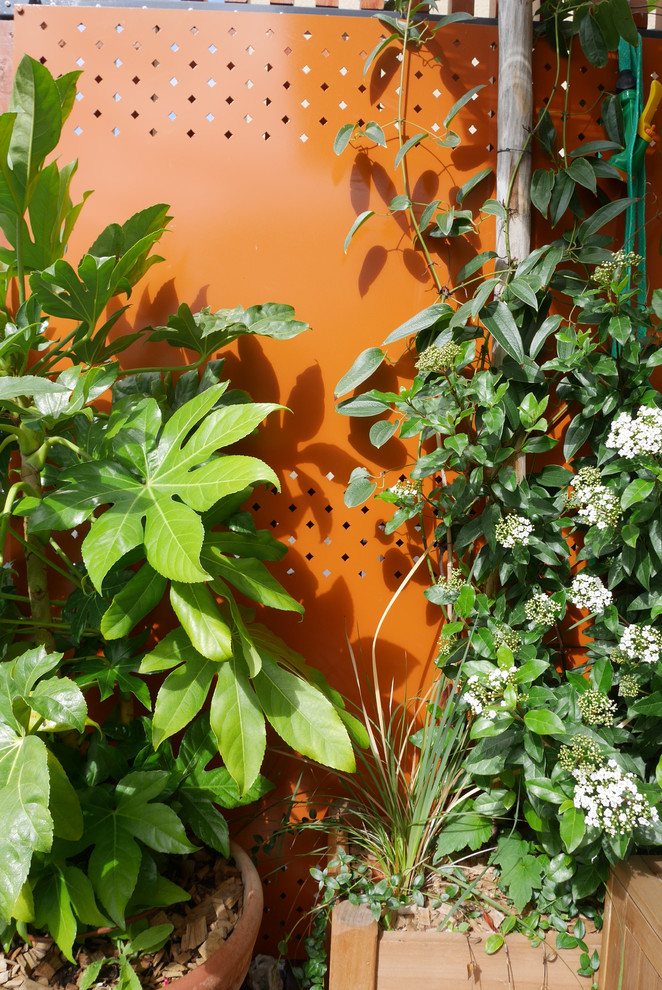 Imagen de terraza de tamaño medio con jardín de macetas y pérgola