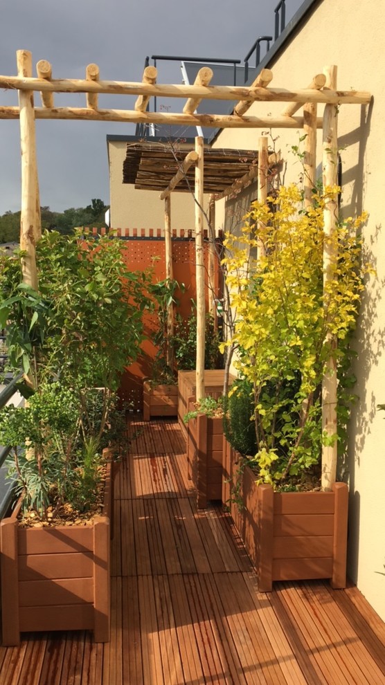 Kleine, Unbedeckte Shabby-Style Terrasse mit Kübelpflanzen in Paris