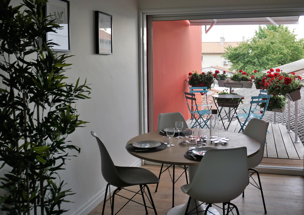 Immagine di una terrazza moderna di medie dimensioni e dietro casa con un giardino in vaso e un parasole