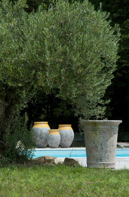 Vase Et Jarres En Terre Cuite Mediterraneen Terrasse Et Patio Toulouse Par Terres D Albine