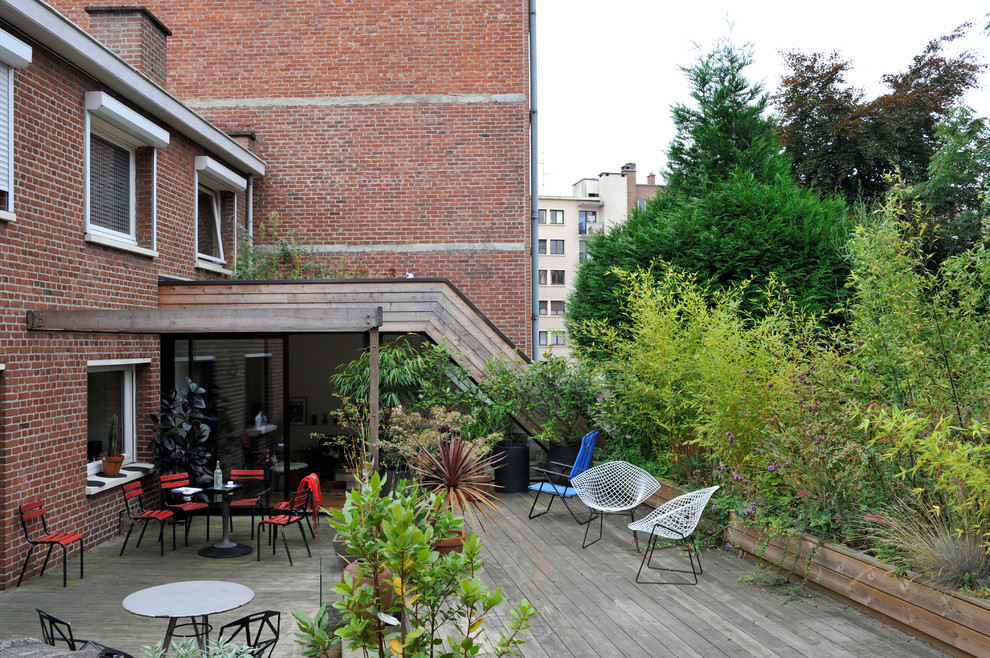 Cette image montre une terrasse avec des plantes en pots arrière design de taille moyenne avec aucune couverture.