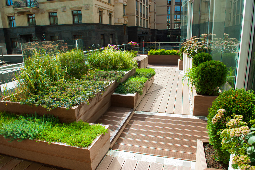Imagen de terraza actual sin cubierta con jardín de macetas