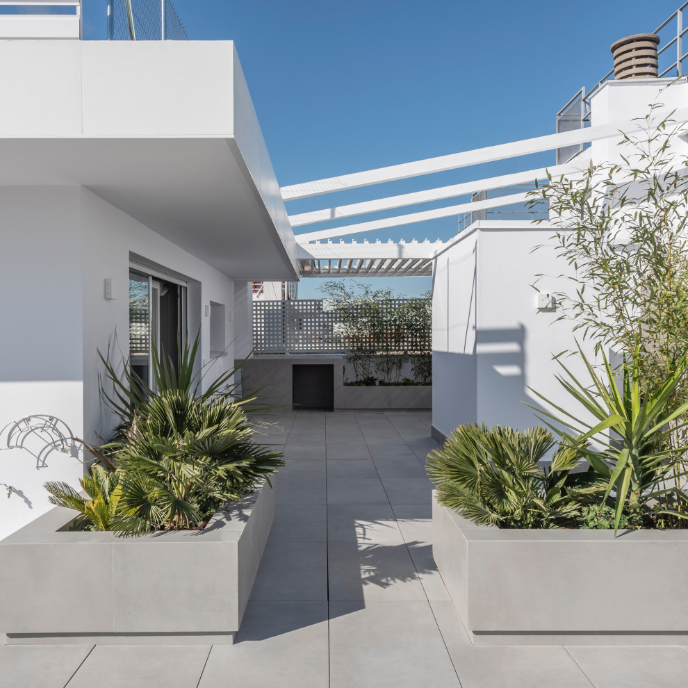 Diseño de terraza contemporánea de tamaño medio en azotea con jardín de macetas y pérgola