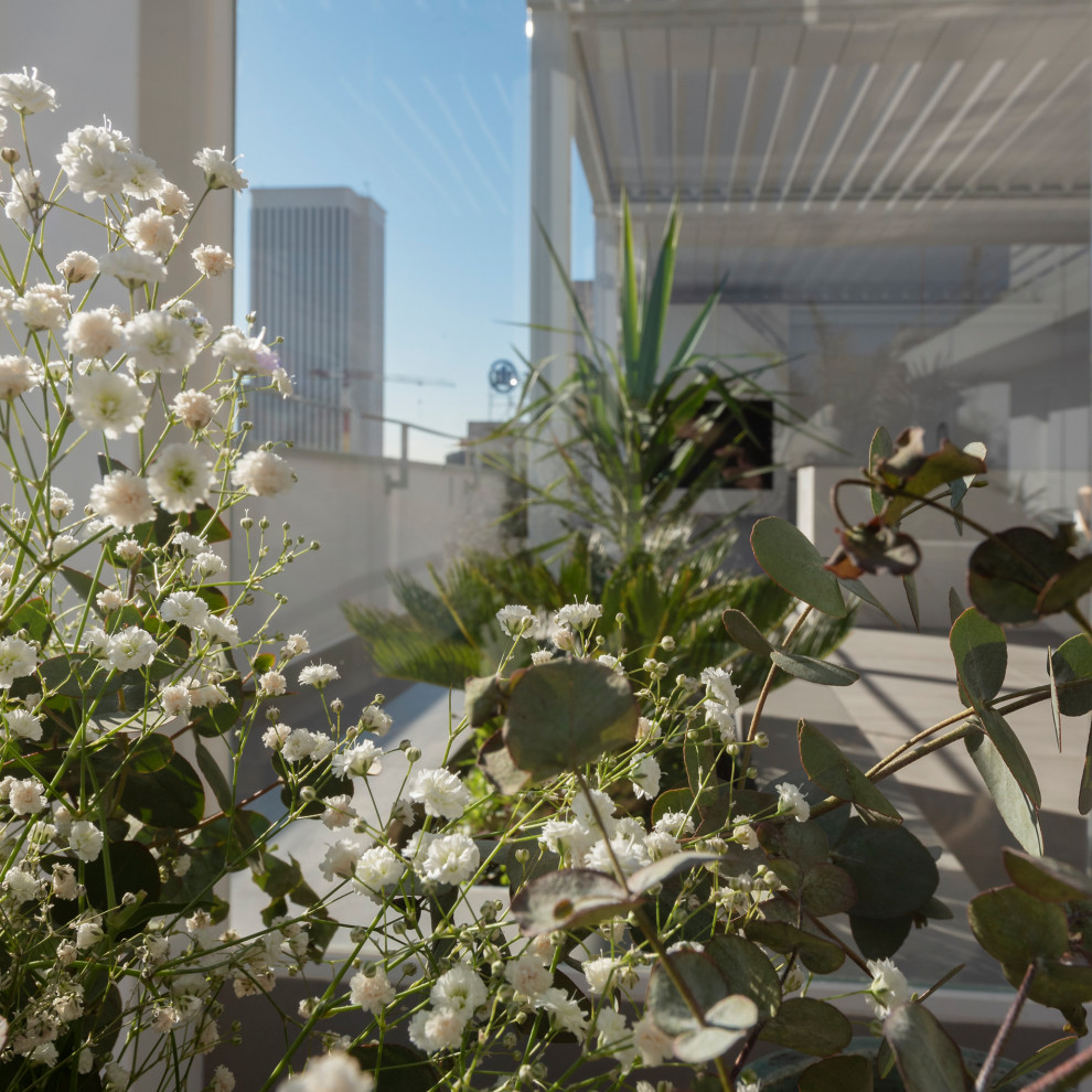 Diseño de terraza contemporánea de tamaño medio en azotea con jardín de macetas y pérgola