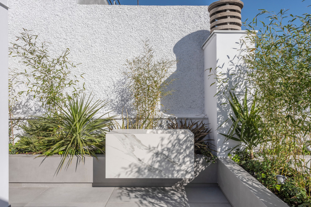 Foto de terraza contemporánea de tamaño medio en azotea con jardín de macetas y pérgola