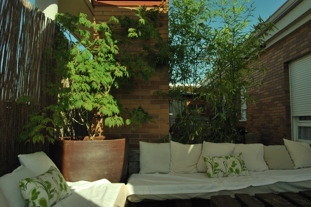 Foto de terraza de estilo zen pequeña en azotea con jardín de macetas y toldo
