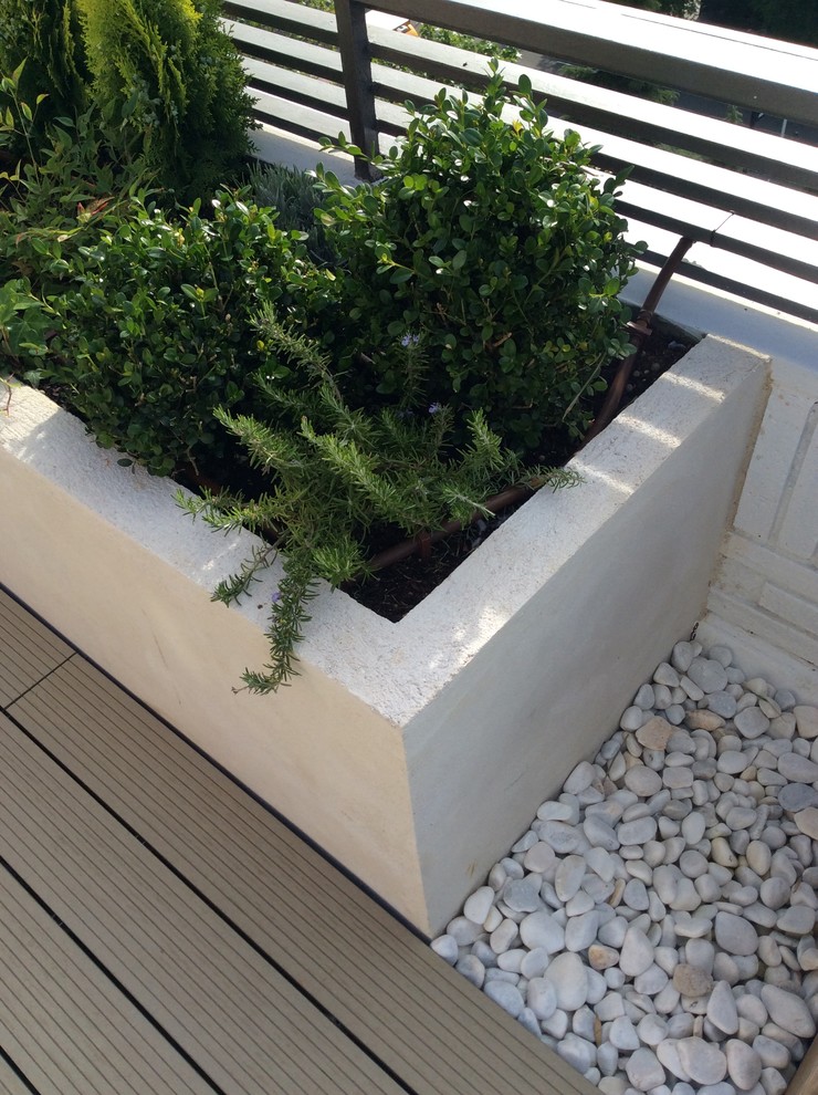 Ispirazione per una piccola terrazza contemporanea sul tetto con un giardino in vaso