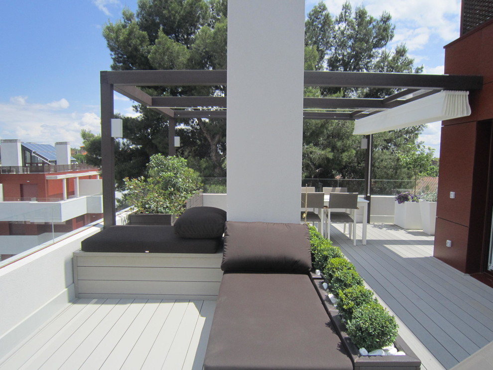 Idee per una terrazza moderna di medie dimensioni e sul tetto con un giardino in vaso e una pergola