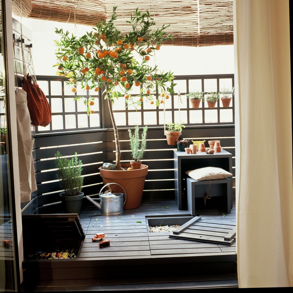 Idee per una terrazza rustica di medie dimensioni e sul tetto con un giardino in vaso e un parasole