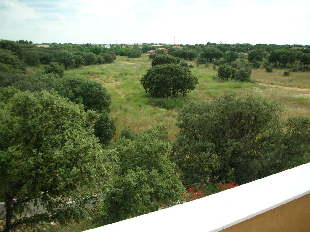 Geräumiger Landhausstil Dachgarten mit Sichtschutz in Sonstige