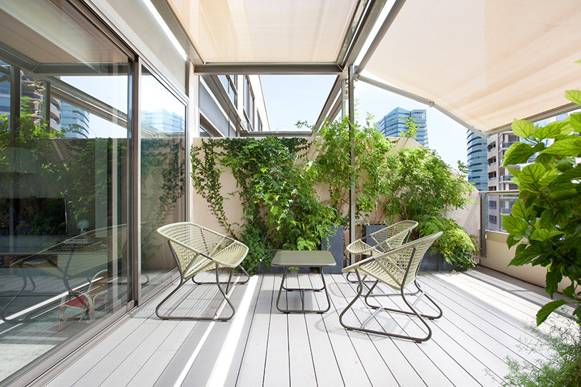 Ispirazione per una terrazza minimal di medie dimensioni e sul tetto con un giardino in vaso e un parasole