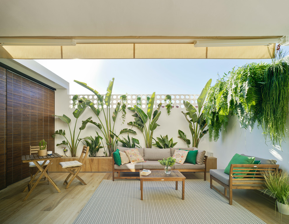 Imagen de terraza clásica de tamaño medio en patio trasero con jardín vertical y toldo